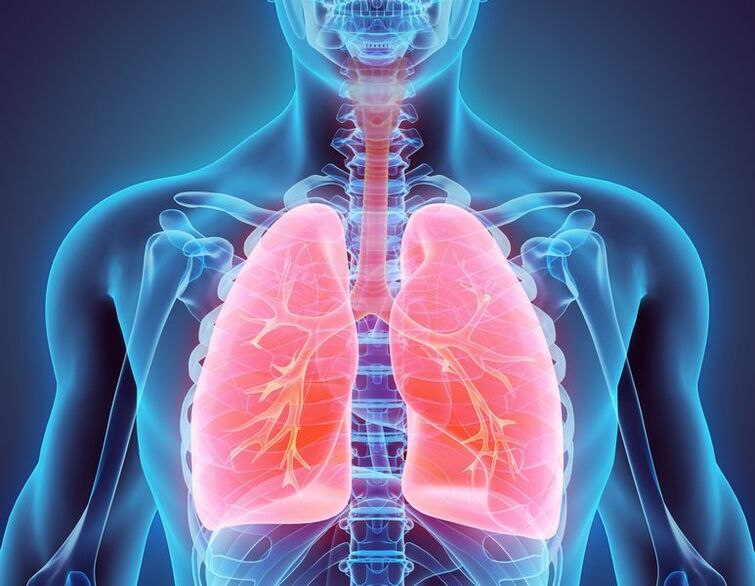 bronchi e polmoni come fonte di dolore